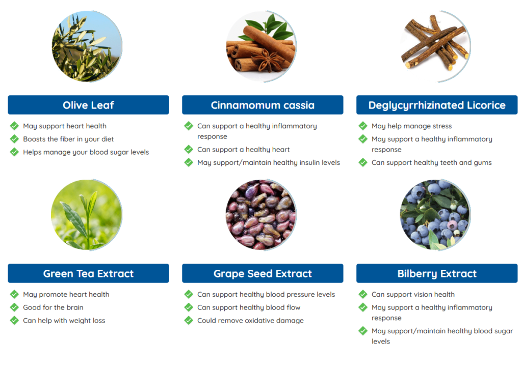 Neuro Surge ingredients