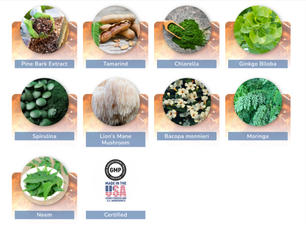 pineal pure ingredients